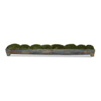 Canal Moss Centerpiece — angle view