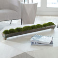Canal Moss Centerpiece, Bronze