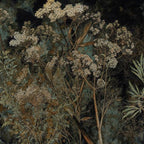 Copper Garden Wallpaper swatch, dark botanical pattern